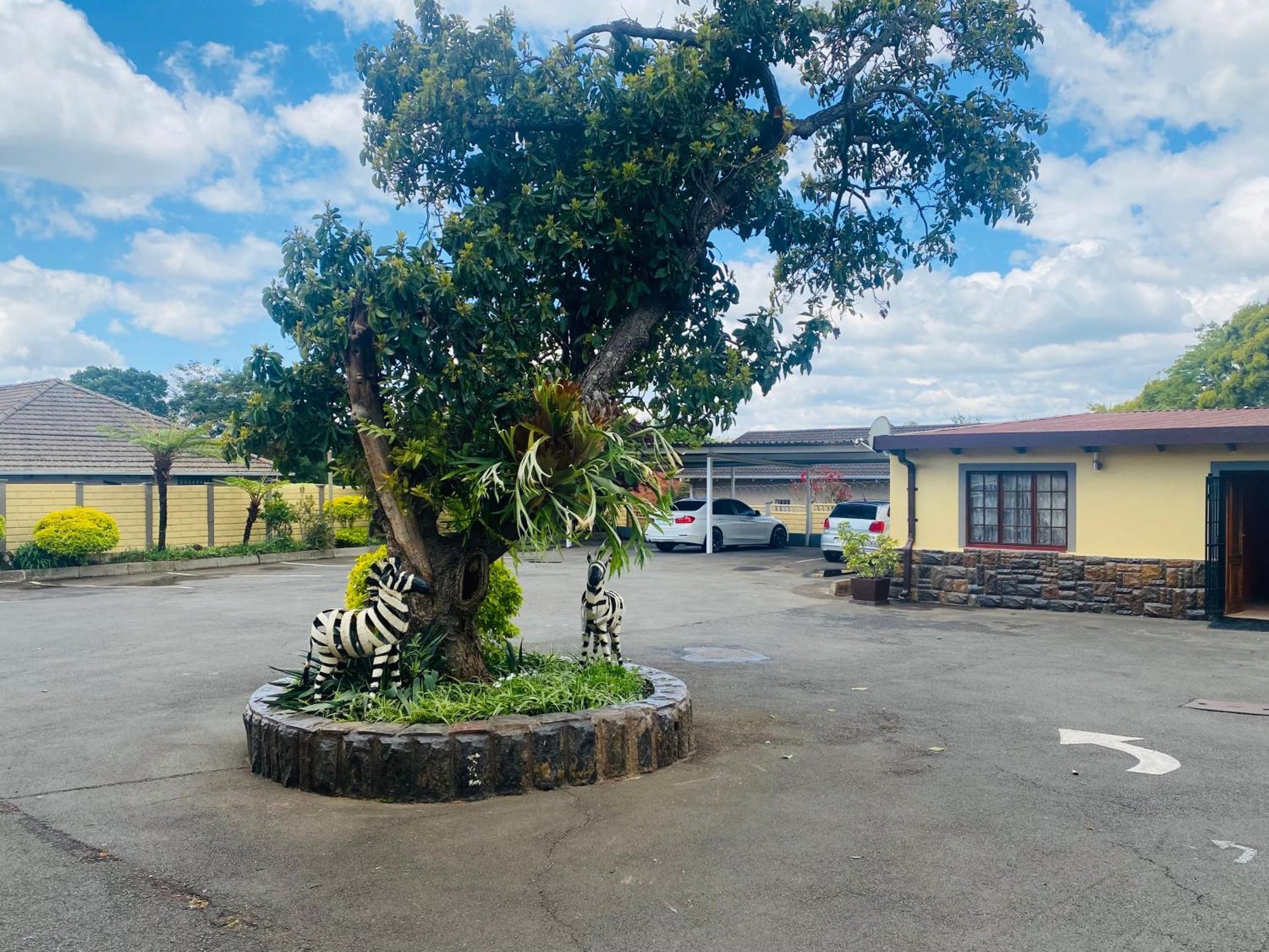 Madlula'S Guesthouse Pietermaritzburg Exteriér fotografie
